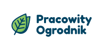 Wycinka Drzew Kraków, Małopolska
